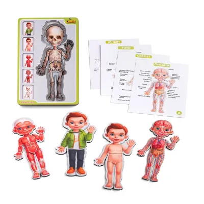 Wooden 5-Layer Puzzle "Human Anatomy - Boy"