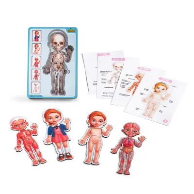 Wooden Multi-Layer Puzzle "Human Anatomy - Girl"