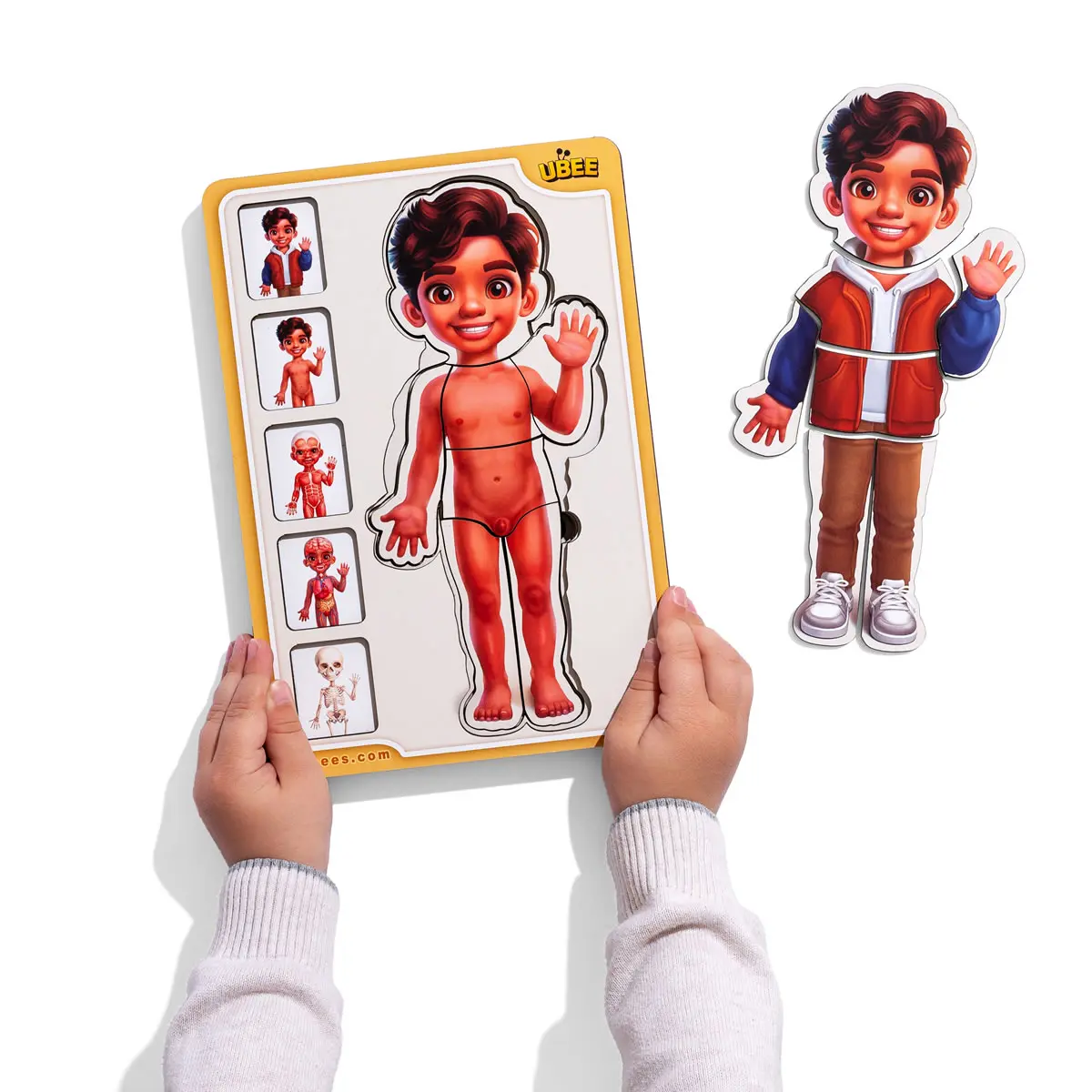 Дерев'яний 5-ти шаровий пазл (дерев'яна вкладка) "Анатомія людини – хлопчик - 2"